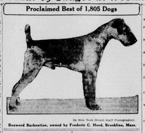 'Proclaimed Best of 1,805 Dogs' — Hood Rubber Company archive